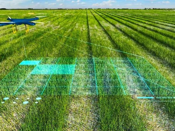 IA-en-agricultura-1693256390950